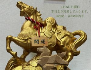 【-12/29納品御希望】まつき様 リクエスト品 コレクションラック レギュラー ハイタイプ 幅55cm×奥行29cm